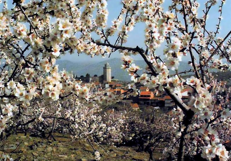 Moradias Do Douro Internacional Villa Freixo de Espada à Cinta Eksteriør bilde