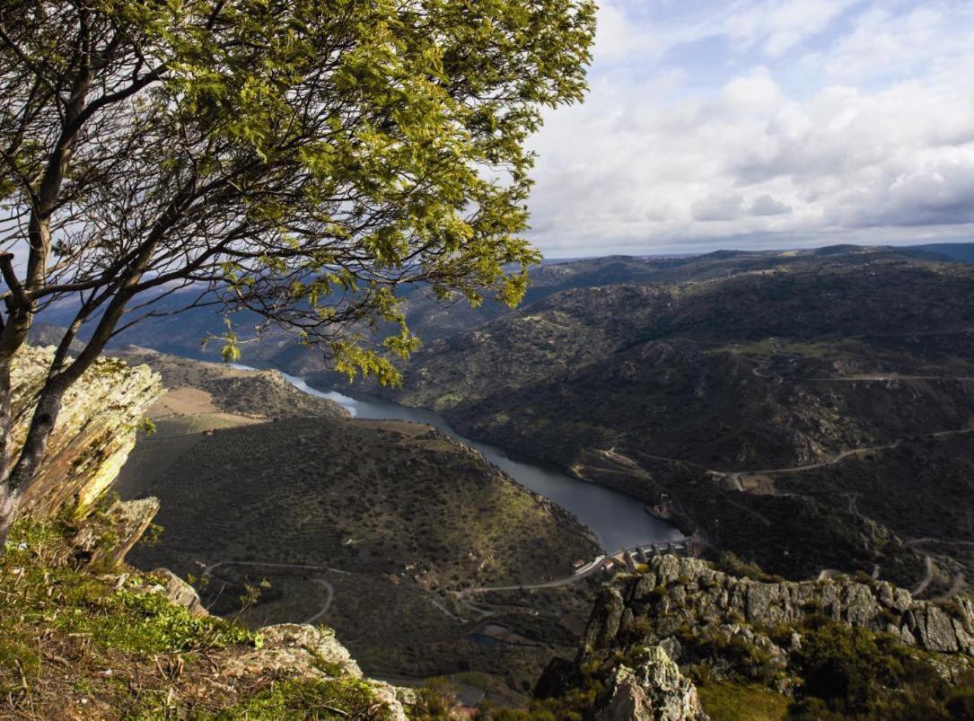 Moradias Do Douro Internacional Villa Freixo de Espada à Cinta Eksteriør bilde