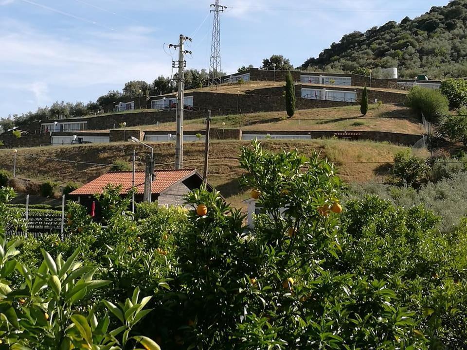 Moradias Do Douro Internacional Villa Freixo de Espada à Cinta Eksteriør bilde