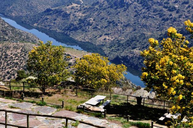 Moradias Do Douro Internacional Villa Freixo de Espada à Cinta Eksteriør bilde