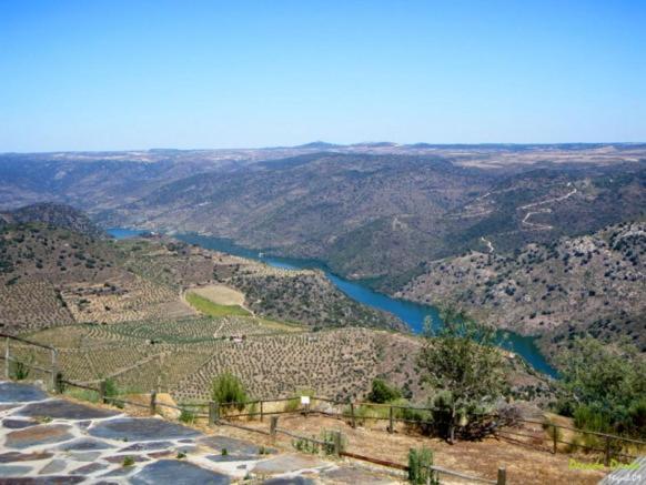 Moradias Do Douro Internacional Villa Freixo de Espada à Cinta Eksteriør bilde